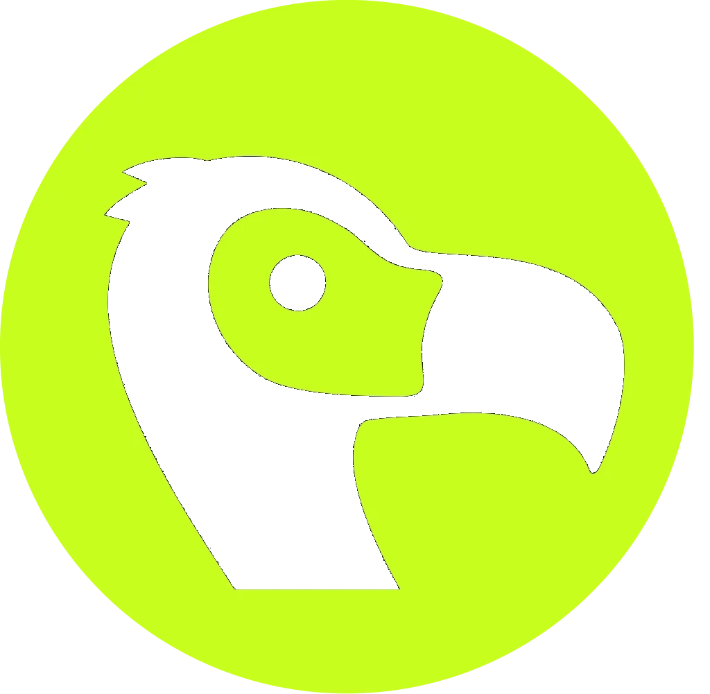 Dodo Payments